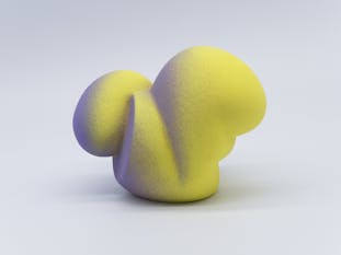 Gradation Form(Y/P)#03